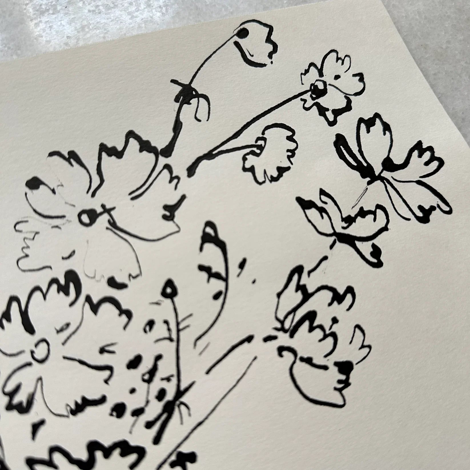 Cosmos dans un vase II à l'encre de Chine par Aislinn Forbes