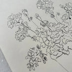 Géraniums en pot à l'encre de Chine par Aislinn Forbes