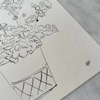 Géraniums en pot à l'encre de Chine par Aislinn Forbes