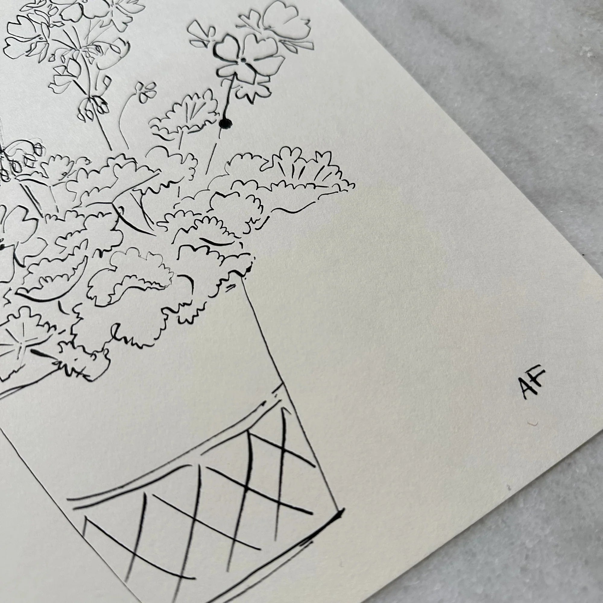 Géraniums en pot à l'encre de Chine par Aislinn Forbes