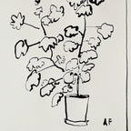 Géranium en pot i par Aislinn Forbes
