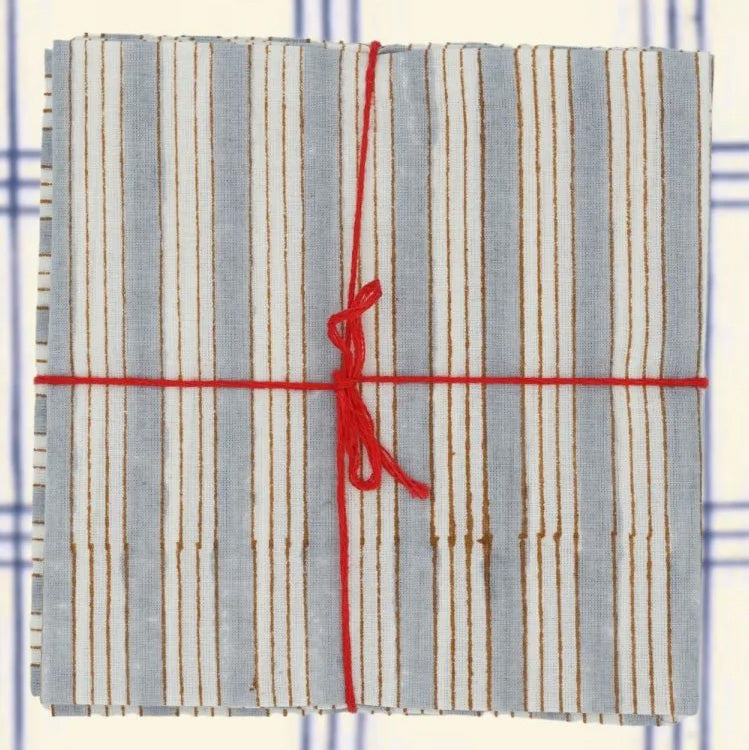 Serviettes Salem Arctic : lot de 4