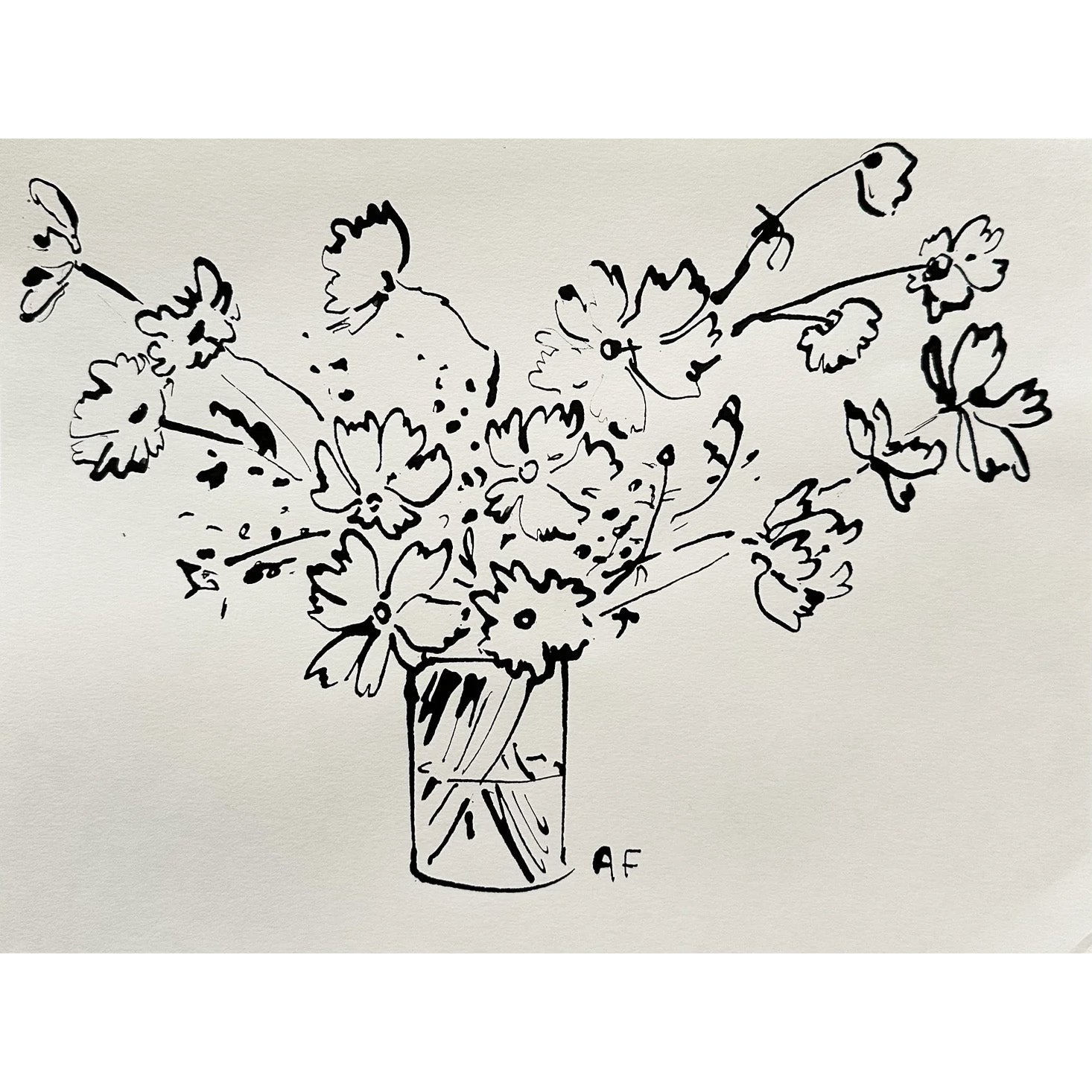 Cosmos dans un vase II à l'encre de Chine par Aislinn Forbes
