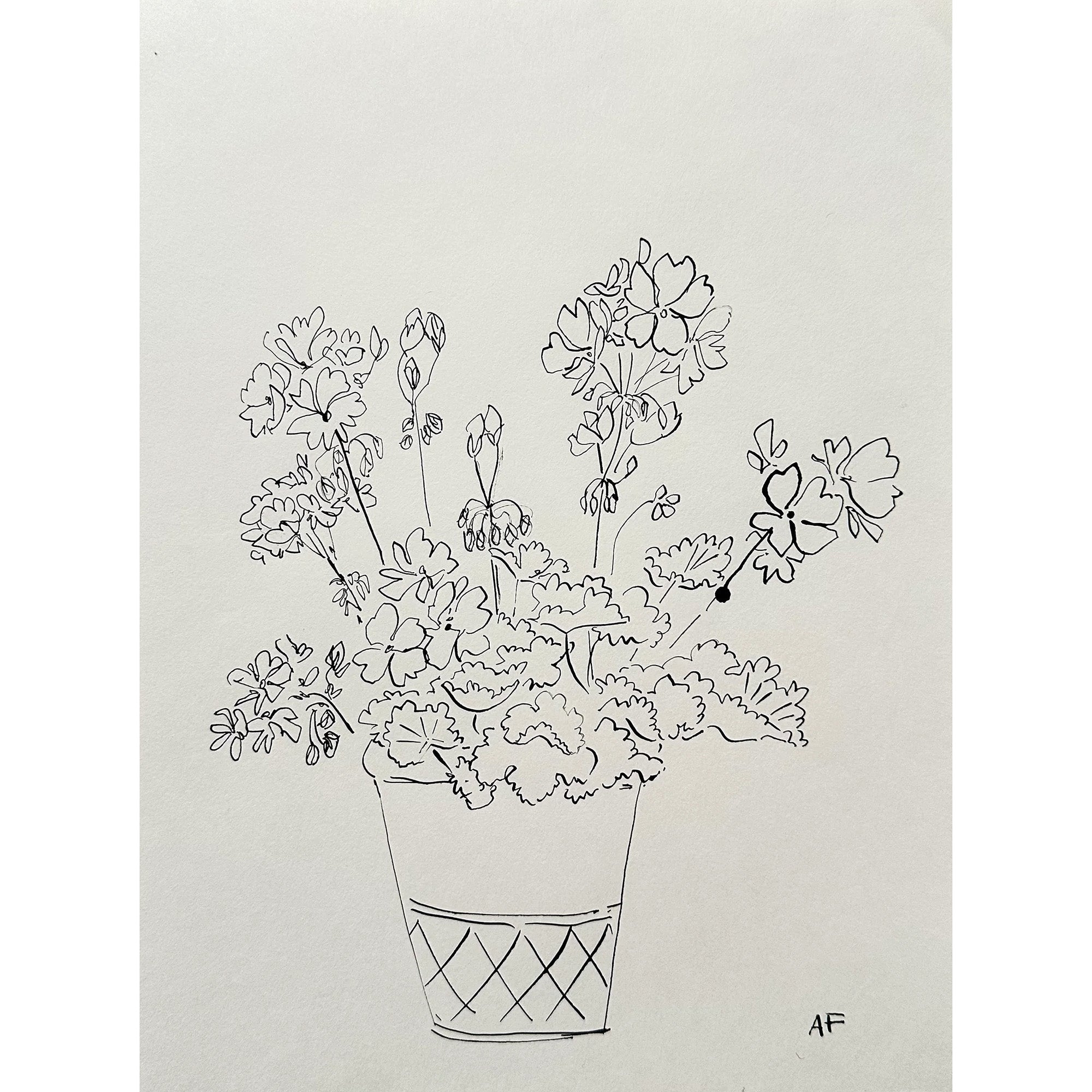 Géraniums en pot à l'encre de Chine par Aislinn Forbes