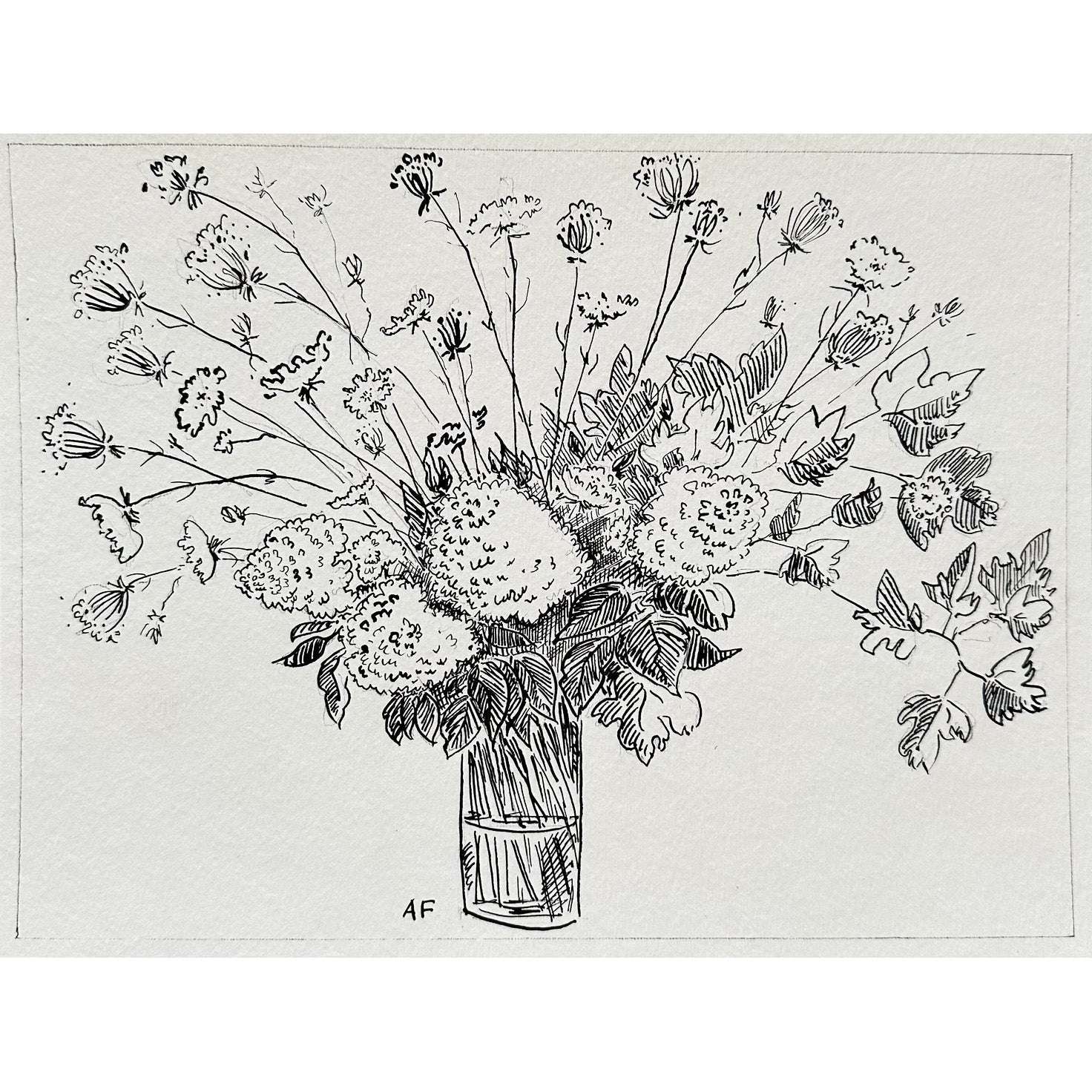 Hortensias et dentelle de la reine Anne dans un vase par Aislinn Forbes