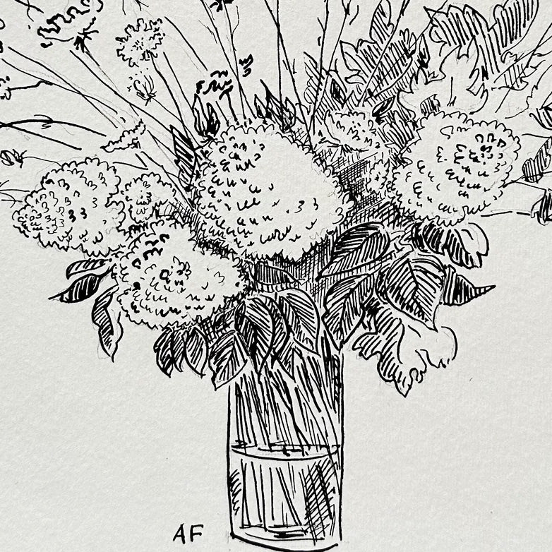 Hortensias et dentelle de la reine Anne dans un vase par Aislinn Forbes